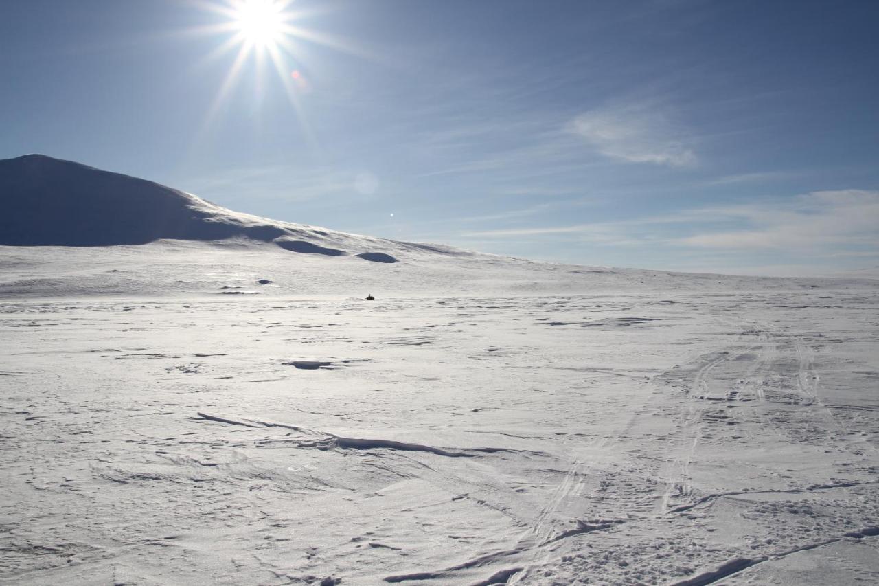 Skoganvarre Villmark Exteriör bild